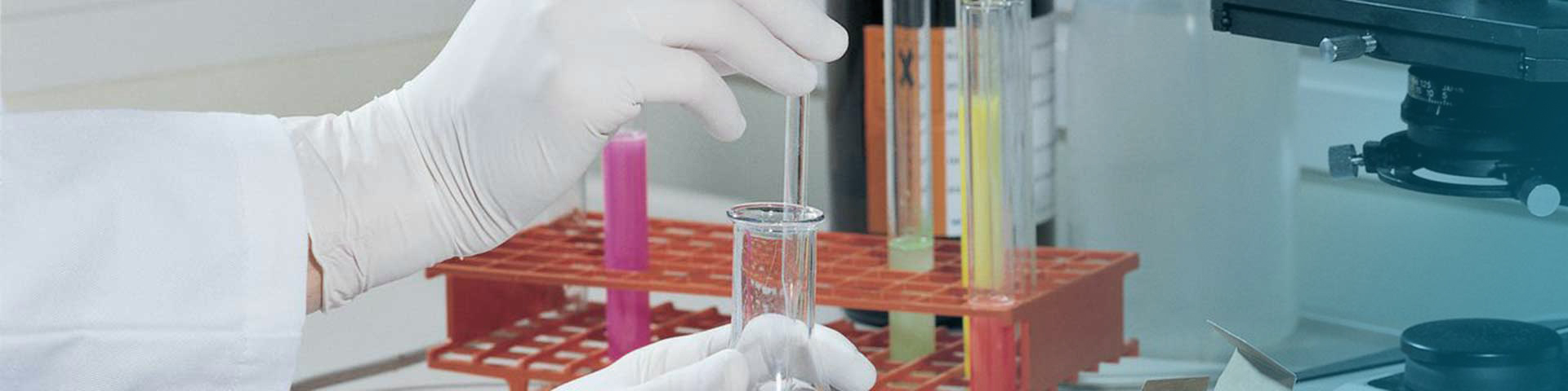 Zwei Hände in weißen Einweghandschuhen befüllen in einem Labor ein Reagenzglas. 